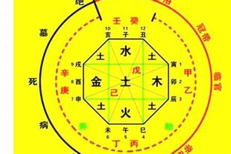 五行忌神|生辰八字喜忌神测算，在线八字测算